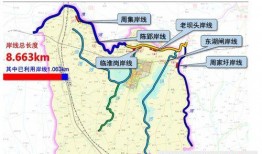 六安第一网红大黑哥